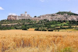 Assisi