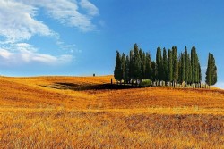 Vla d'Orcia