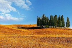 Vla d'Orcia