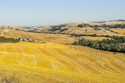 Crete Senesi